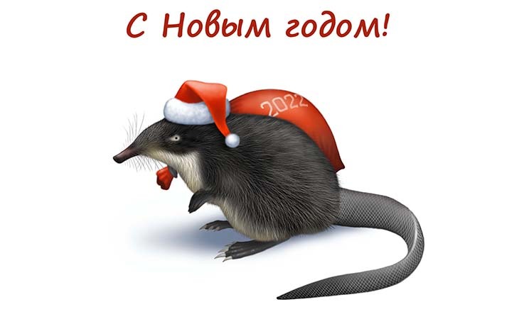 С Новым 2022 годом!