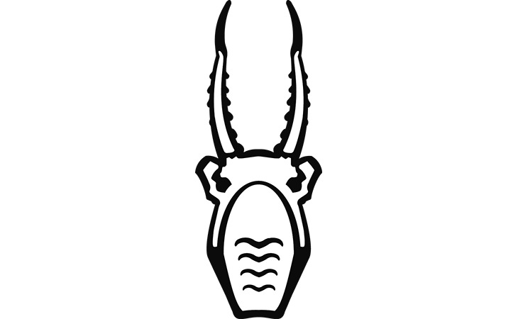 XI Съезд Териологического общества при РАН 14–18 марта 2022 г. 