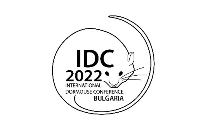 XI Международная конференция по соням