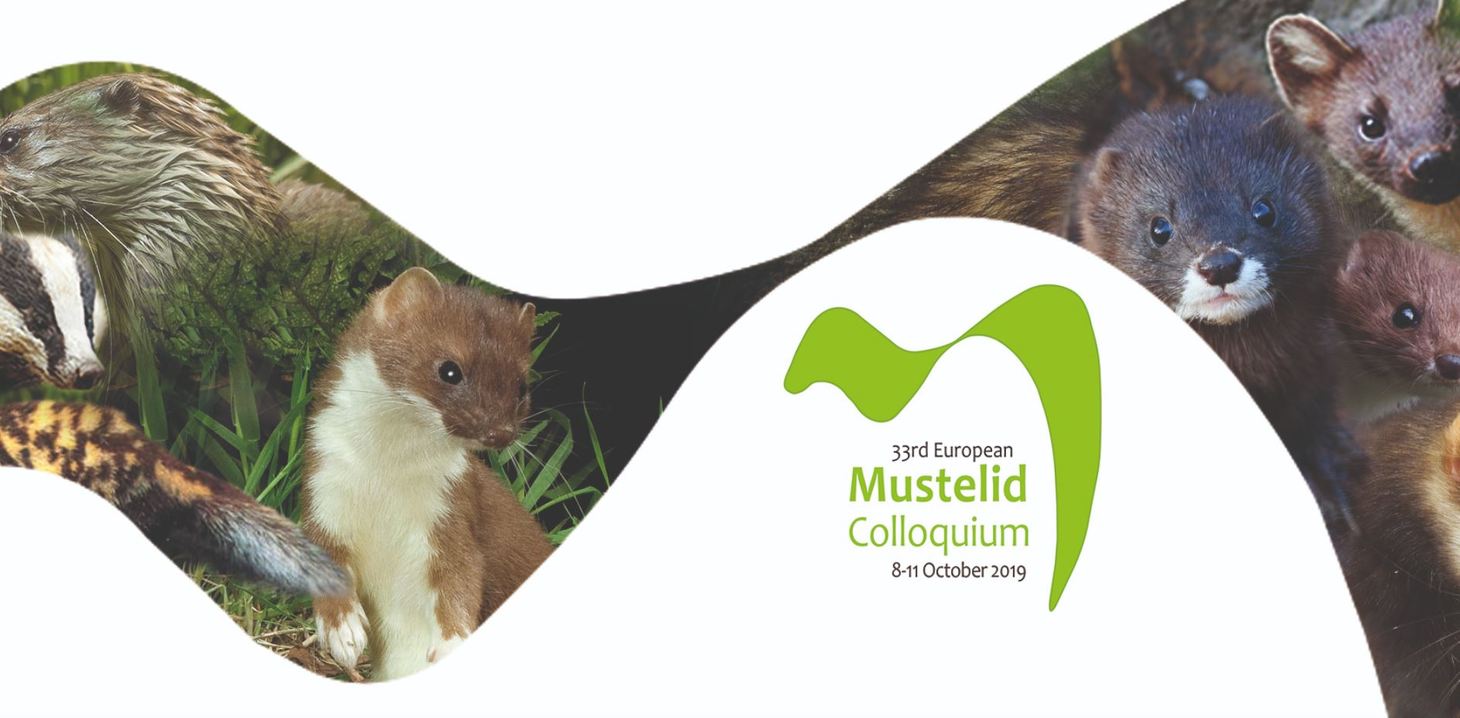 33-й Международный Коллоквиум по Куньим