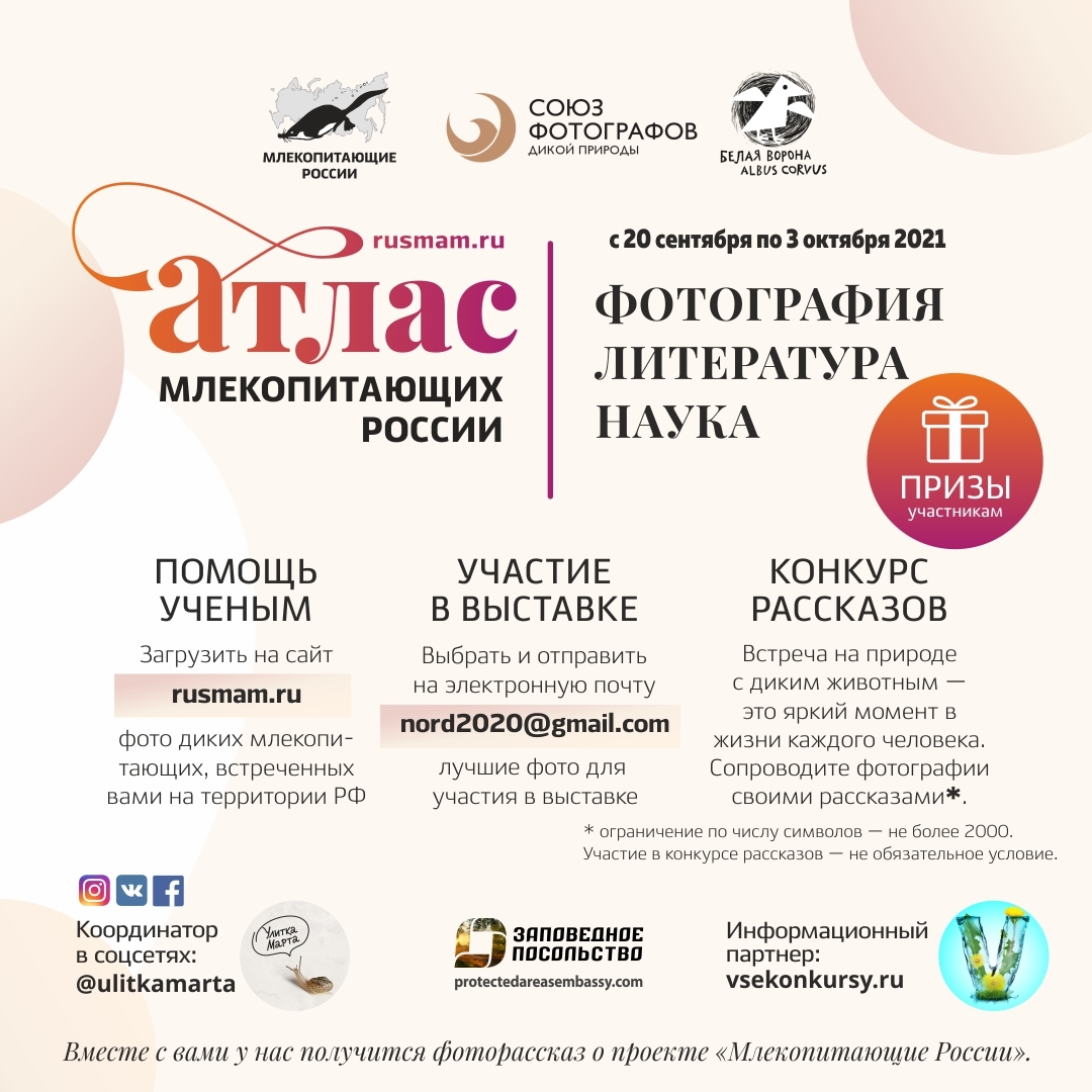 ​Создание проекта фотографий, посвященного встрече с дикими животными и конкурс рассказов