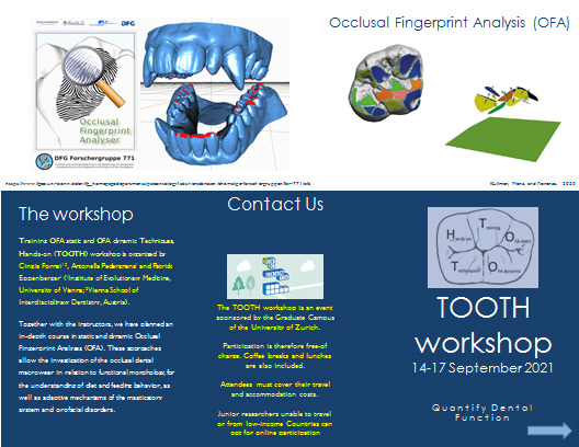 TOOTH workshop 14-17 September 2021