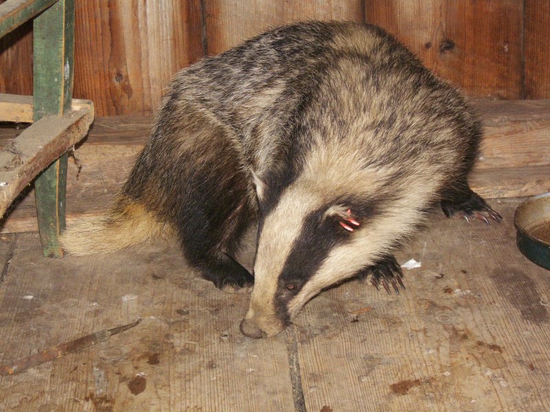 10000 записей