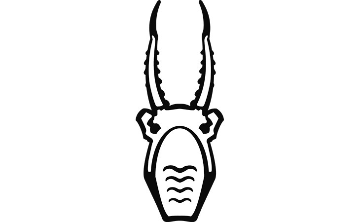 XII Congress of the V.E. Sokolov Teriological Society of the Russian Academy of Sciences