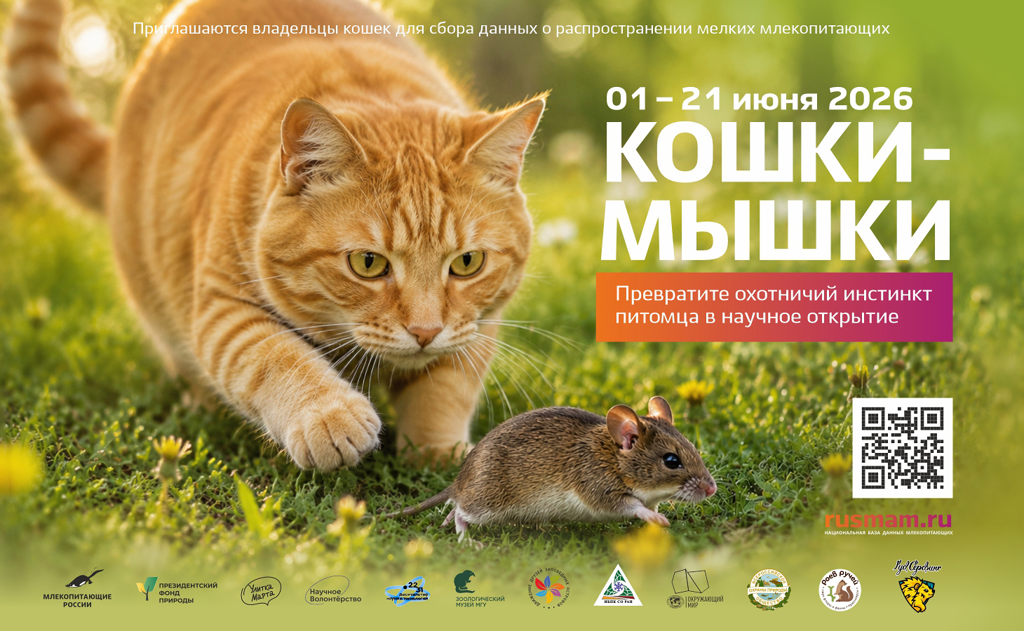 Стартует летний сезон акции «Кошки-мышки»