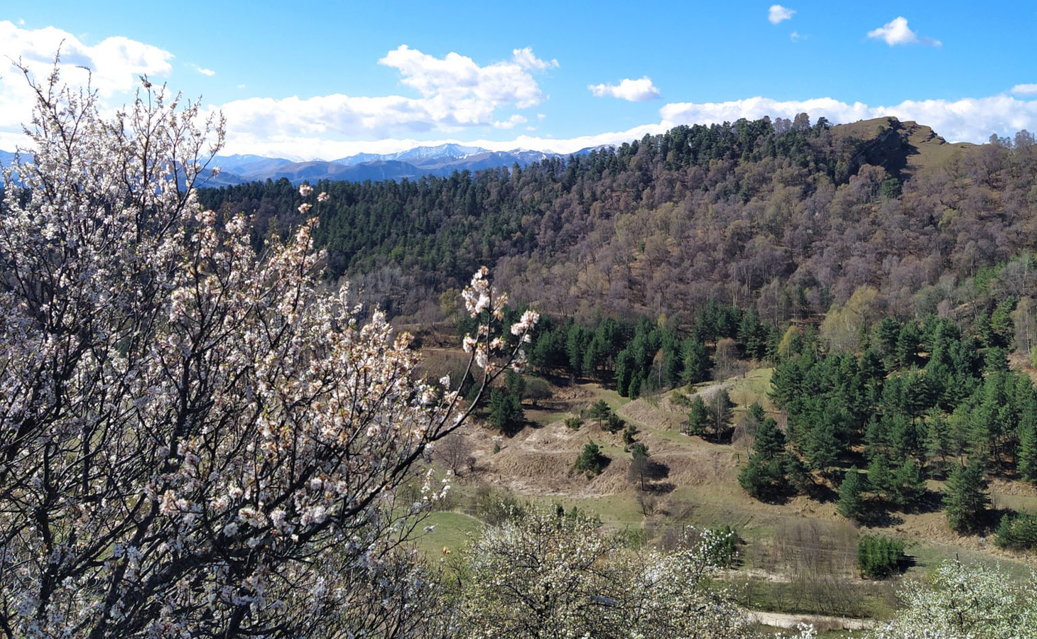 Экспедиция проекта «Млекопитающие России» в Дагестан, 18-28 апреля 2023 г.