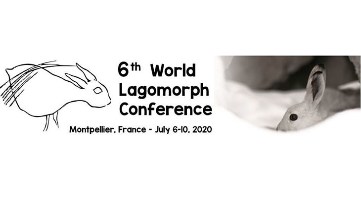 6-я Всемирная Конференция по Зайцеобразным перенесена на год