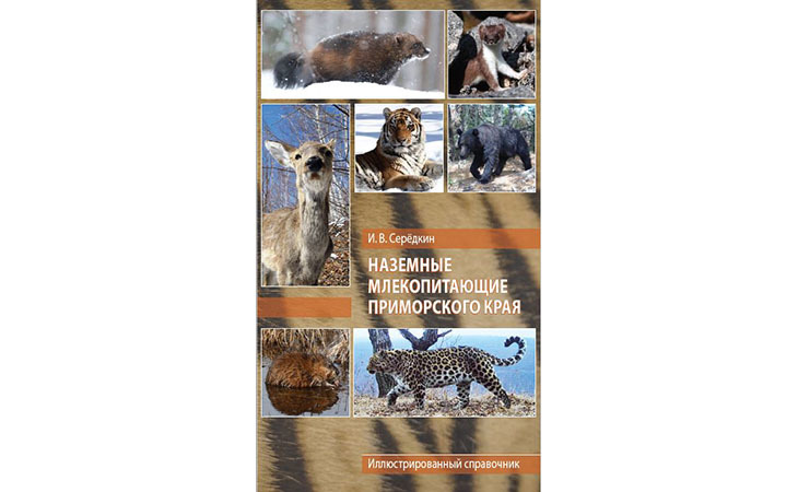 Наземные млекопитающие Приморского края