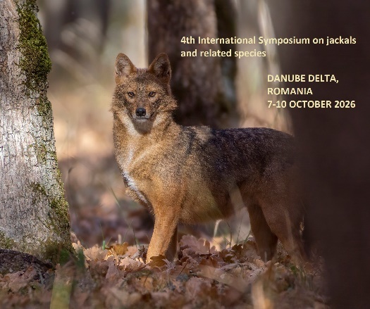 Международный симпозиум по шакалу