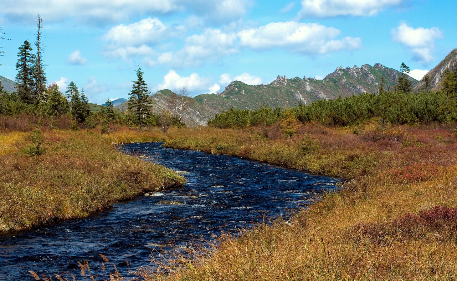Обращение к руководителям ООПТ Российской Федерации