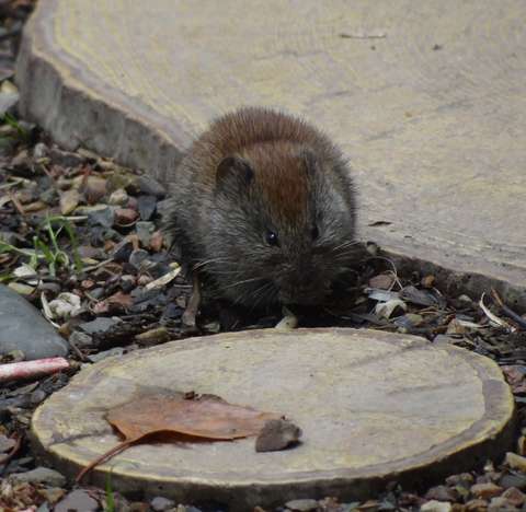 Фотографии